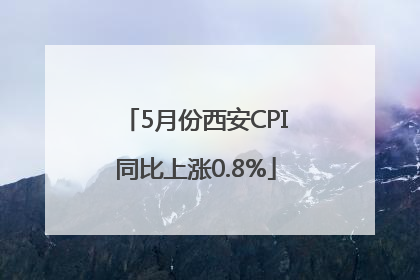 5月份西安CPI同比上涨0.8%