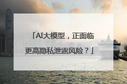 AI大模型，正面临更高隐私泄露风险？