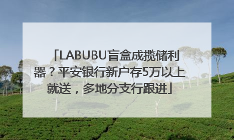 LABUBU盲盒成揽储利器？平安银行新户存5万以上就送，多地分支行跟进