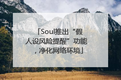 Soul推出“假人设风险提醒”功能，净化网络环境
