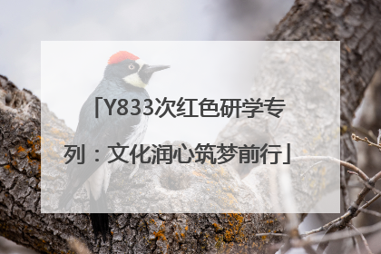 Y833次红色研学专列：文化润心筑梦前行